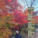 노신사