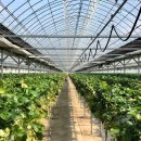 성연농장 이미지