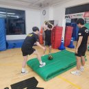 춘맥