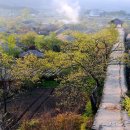 나로도민박 이미지