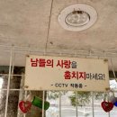 초록의파랑