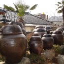 광양불고기 금목서 이미지