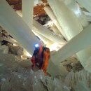 수정-109 이미지