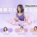 씨투안 이미지