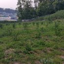 지전농장 이미지