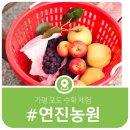 연진농장 이미지