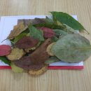 생각이 크는 도서관 이미지