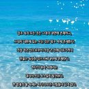 1087 | 사랑 명상 1087