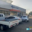 옹진해머금 이미지