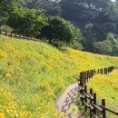 악양생태공원 이미지