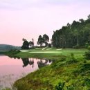 골프킹스 이미지