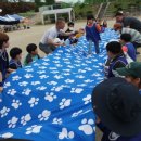 해평초등학교 이미지
