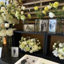 엠제이 | W. 부천 엠제이 컨벤션 본식 후기 파티오볼룸 홀 MJ컨벤션 스냅 후기