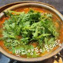 양푼이동태탕 | 용인 | 죽전 동태탕 맛집 바다양푼이동태탕 후기