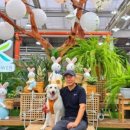 케이힐링센터
