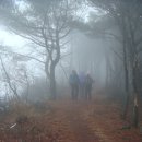 버스정류장 07-575 | 남산 서릉 /경북 청도