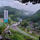 스톤래빗 이미지