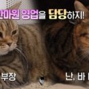 포항이동안마원 네이버블로그
