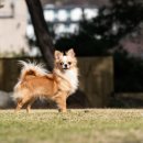 W&W(와앤와) 이미지