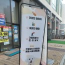 멍블랑 강아지분양 시흥배곧점 이미지