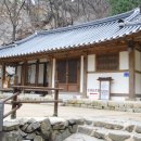 율면초교 Daum카페