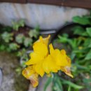 내린천펜션계곡사랑 이미지