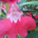 관광호텔앞 이미지