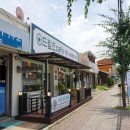 드림즈마을 협동조합 이미지