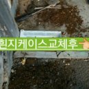 명문상회