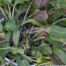 씨앗농부 이미지