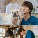 캘리포니아 모텔 이미지