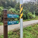 완주편백숲으로