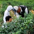 준식농장 이미지