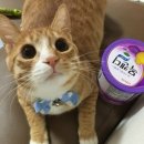 태화동물병원 이미지