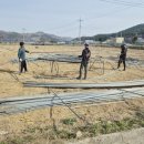 성진농장 이미지