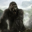 킹콩 이미지