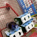 하늘아래 펜션 | 충주 독채 펜션 숙소 하늘아래숲속 충주독채단체펜션 재방문 내돈내산 후기