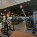 더블비휘트니스 이미지