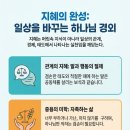 153일 : 잠언 25~31장 이미지