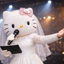 MC MC | 주례없는 결혼식 사회자 추천 | MC솔솔 박다솔 계약 후기