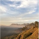 엘라(ELLA) 이미지