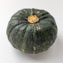 호박마켓 이미지