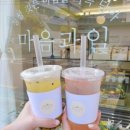 청솔청과 이미지