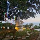 해질녘 | 아이와 다낭 링엄사 후기 | 해질녘에 가야하는 이유