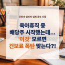 조선일보외중앙일보신철산 | "아기 보면서 배당주 시작했는데..." 육아휴직 중 배당금 받으면 건보료 폭탄 맞는다?! (초보 투자자...