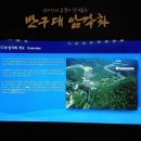 울산암각화박물관 이미지