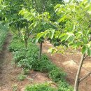 길원농장 이미지