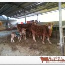 남양2리 이미지