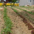 어울림농장 이미지