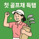 장안골프(378)(스크린) | 수원 장안구 골프샵 다이와 LP423 여자 골프채 마지막 재고 득템 후기